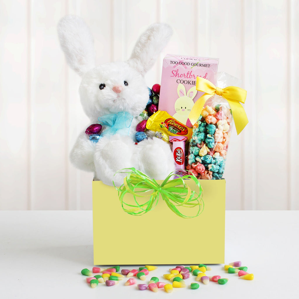 Bunny in a Box - CFG5369