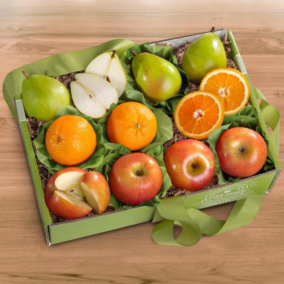 Organic trio - OFG2000 - 25S
